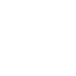 Total Player 2024 badge